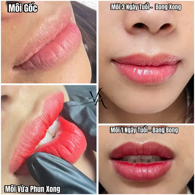 #vyanhbeauty #tiệmdachữalành #khuthammoi #pmu #phunmoi #tiktok #sợihairstrokes 