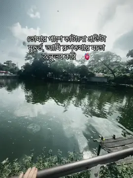 @Mohammad Saifur Rahman তোমার পাশে কাটানো প্রতিটা মুহুর্ত, আমি রুপকথার মতো অনুভব করি🤍🫀#viralvideo #bangladesh🇧🇩 ##CapCut 