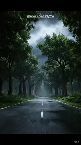 #naturelover #emotionalvideo #aesthetic #cinematic #nature 