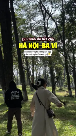 Mở bát chuyến nghỉ dưỡng 24h cùng nhóm bạn tại Ba Vì: Săn Mây, ngắm hoa và ăn uống nghỉ ngơi tại homestay siêu đẹp. Luỵ Ba Vì mùa này quá mọi người ơi!! #nghiduongngoaithanh #thungmayresortbavi #vuonquocgiabavi #hoadaquy #sanmaybavi 