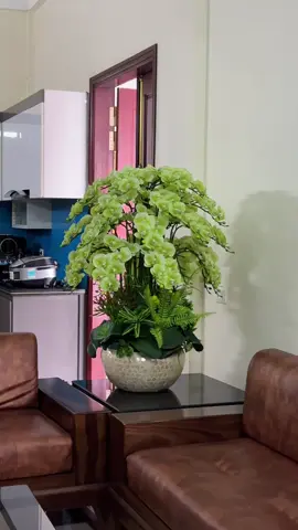 Thấy nhạc là nôn Tết rồi #xuhuong #hoalanhodiep #hoaluacaocap #decor #trangtri 