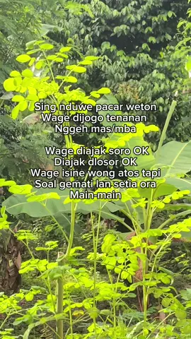 Bener bngt #wetonwage #fyppppppppppppppppppppppp #wage #primbonjawa #viraltiktok 