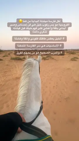 في مربط الجليدي نرافقك خطوة بخطوة من أول تواصل مع الخيل إلى لحظة الانسجام الكامل معه 👌🏻 ابدئي رحلتك بشغف، وعيشي تجربة تعلم تصنع فارسة بروح قوية وأسلوب راقٍ #مربط_الجليدي_للخيل_العربيه #خيل_وخياله🐎 #foryoupage #القصيم #foryou 