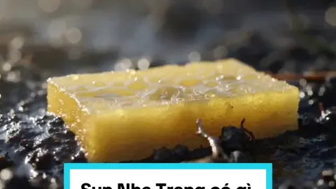 Sun Nha Trang #LiemBĐSNhaTrang #LiemNewCity 