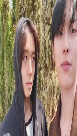 shse reminds me so much of soogyu (╥‸╥ )   #foryoupage #kpopfypシ #soogyu #shse #whc1 