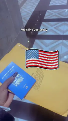 #kenyansinusa🇺🇸 #relocation #m_momanyi #fypシ゚viral #kenyantiktok🇰🇪 