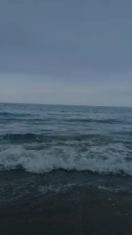 我用一生，换一场相遇，只希望来生早点遇见你