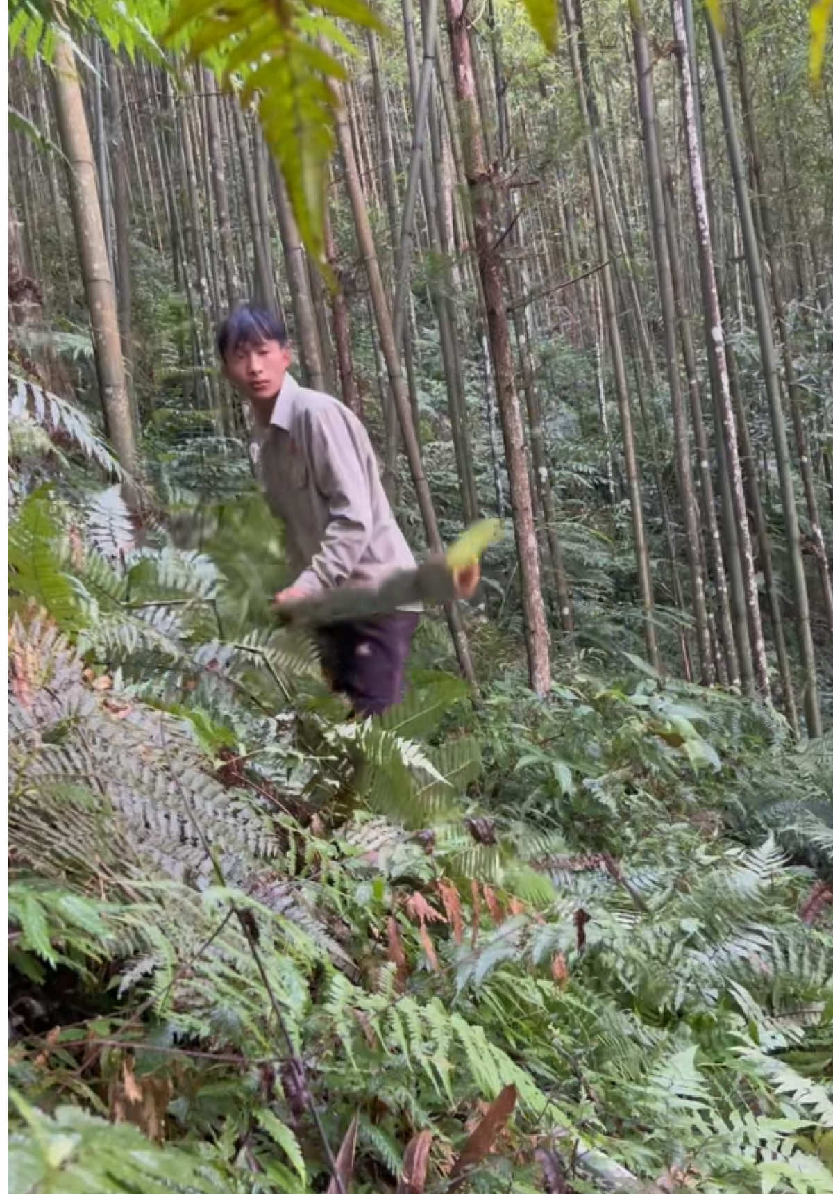 #kỷ niệm xưa #lyducthang #yenbinh #suhuong #fyp 