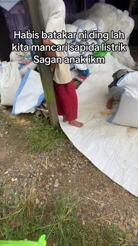 #kalimantanselatan #banjarmasin #sungaimartapura 