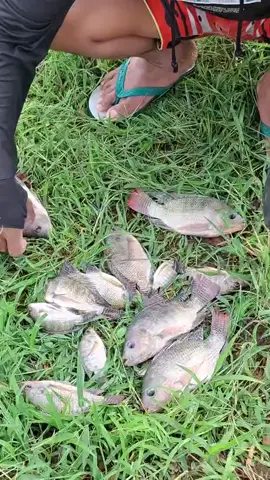 modal diwei pancing ojo dipadakne karo sng di modali putas #fyppppppppppppppppppppppp #madiun24jam #wadukgajahmungkur #mancingmania 