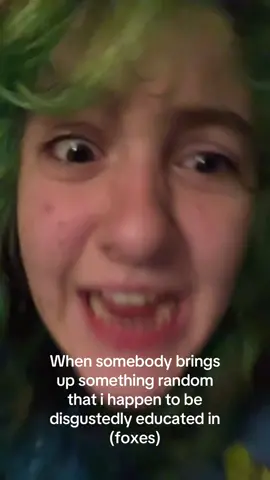 Yall don’t even KNOW how fixated I am on these stupid creatures #foxes #nerd #specialinterest #autism #fyppppppppppppppppppppppp 