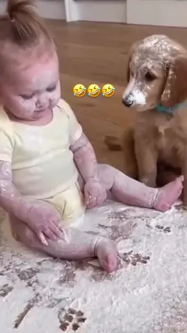 singkat padat😭🤣#fyp #meme #lucu #virall #lucu_ngakak #xybca #core #kentut 