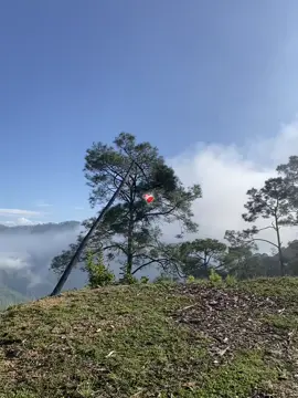 ❤️‍🩹 #LalitThakuri #viral #foryou #foryoupagе #flpシ 