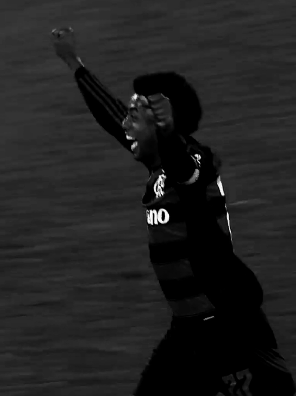 aeeeee porrr 😭😭 #flamengo #libertadores #edit #foryoupage #fyp 