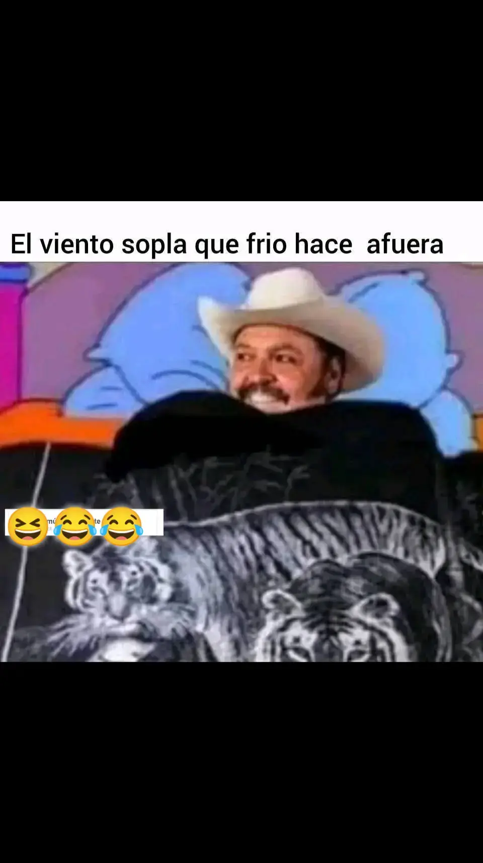 #cobijadetigre🐯 🇲🇽 #paratiiii 