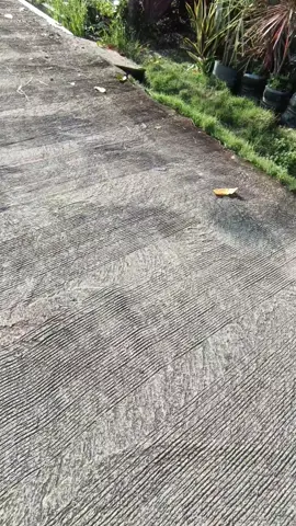 #kphgank🚀 #kphjogjastyle #kphganksoloraya🚀  #fyppppppppppppppppppppppp #beranda 