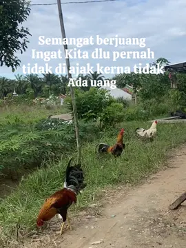 Berbuat baik lah karna kita tidak tauk kedepan nya#lampung #lampungtengah 