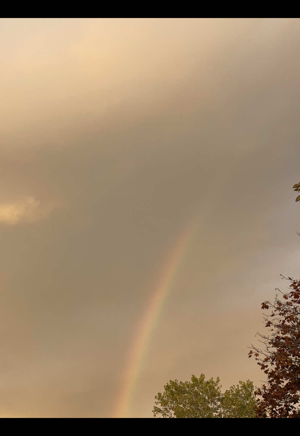 Love on yourself💋 #bodyimage #bodydysphormia #healing #teenagers 