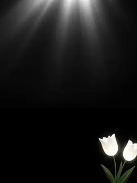 #CapCut  Tháng 11 tháng cầu cho các linh hồn 🙏#xh #conggiao 