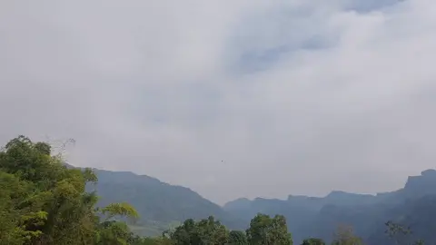 Nếu căn lành của bạn đủ lớn, phước báu của bạn đủ lớn, Trời đất sẽ cho phép bạn bước vào giai đoạn tiêu trừ nghiệp sớm hơn, sẽ sắp đặt cho bạn  những kiếp nạn tình cảm, những thất bại và mọi loại đối nhân xử thế trong nửa đầu đời, để bạn nhìn thấu sự lạnh lùng của thế gian và tỉnh ngộ sớm hơn. Bạn sau khi tỉnh ngộ sẽ như  được tái sinh, từ đó lột xác hoàn toàn,thay đổi tính cách, thay đổi tâm thái. Bạn sẽ không còn bận tâm người khác nhìn bạn thế nào, nói về bạn ra sao, định nghĩa bạn như thế nào. Bởi vì bạn biết, ban trong mắt ho, chính là hình ảnh của họ! Bạn sẽ cho phép người khác được là chính họ, cho phép mọi chuyện xảy ra, cho phép họ phán xét bạn như vậy, đối xử với bạn như vậy. Bởi vì bạn biết, nhận thức và tư duy của họ vốn là như vậy, đối với họ thì điều đó là đúng. Còn bạn, sẽ cho phép mọi thứ được như nó vốn là...Phản ứng lại chính là vướng mắc, vướng mắc thì sẽ chịu tổn thương. Bên ngoài không chấp trước, bên trong không xao động.Minh tâm kiến tánh (thấy rõ bản tâm), như như bất động. Cho phép mọi chuyện xảy ra. #thien#chualanh #annhientutai#tinhthuctamlinh #chualanhtamhon 