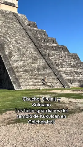 Chichén Itzá y sus perritos guardianes 😆 #fyp #chichenitza #firulais 