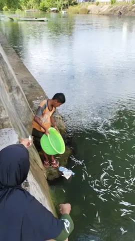 Ikan naik di permukaan laut di kota baubau 😆 #fyp 