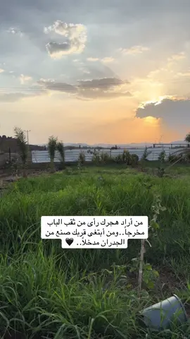 #السعودية #هاشتاقات_تيك_توك_العرب #الرياض_جده_مكه_الدمام_المدينه #قصايد_شعر_خواطر_شيلات_الاكسبلور #تصويري 💚🤍❤️🌹