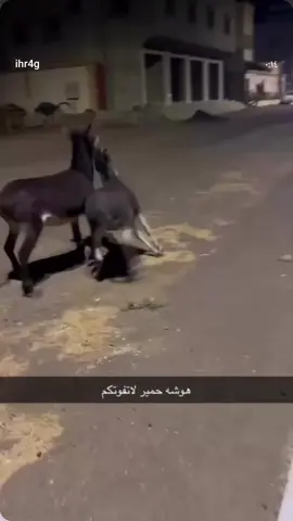 #fyp #fyyyyyyyyyyyyyyyyyyy #reels 