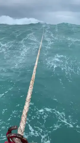 Được mùa thì mất giá được giá thì mất cái neo 🤣🤣