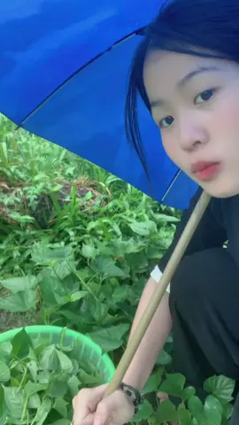 Về quê nuôi cá và trồng thêm rau thôi nàooo🤣🤣🤣#binhyen #cuocsongthuongngay #xuhuong #phươnggthảoo 