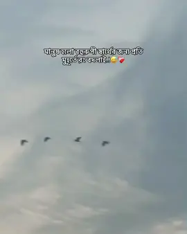 হুম 😅😅😅#furyou #furyoupage #viralvideo #mostviralvideo #creatorsearchinsights @For You House ⍟ @For You @TikTok Bangladesh 