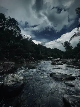 Mùa đông năm nay , vắng em ở đây…!