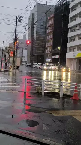 Tuyết đầu mùa  Mùa tuyết thứ 3#xuhuong #trendinh 