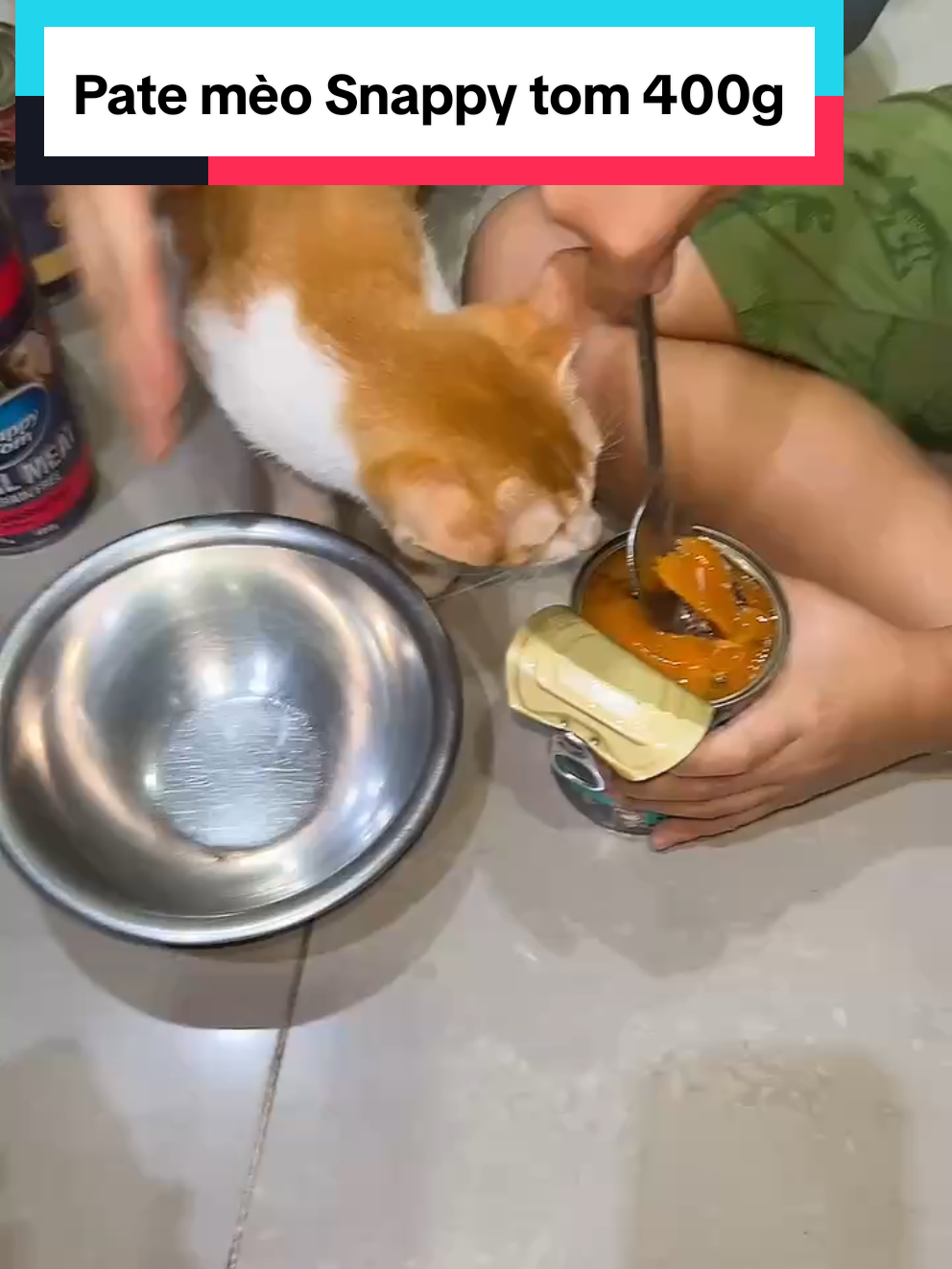 Pate mèo Snappy tom 400g#pate meo#patesnappytom #patechomeo #xuhuongtiktok #giaitri @PET FOODS @PET FOODS 