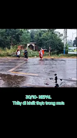 30/10/25 Quý Thầy khất thực trong cơn mưa sáng nay ❤️🙏 #Thayminhtue #suminhtuehomnay #Hanhdauda #tuetran 