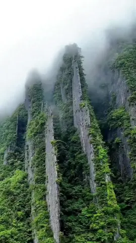 #سورة_الكهف #سعود_الشريم 