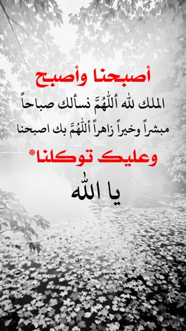 #يارب_فوضت_امري_اليك #اللهم_صل_وسلم_على_نبينا_محمد #أدعية_اذكار_تسبيح_دعاء_استغفار♡ 
