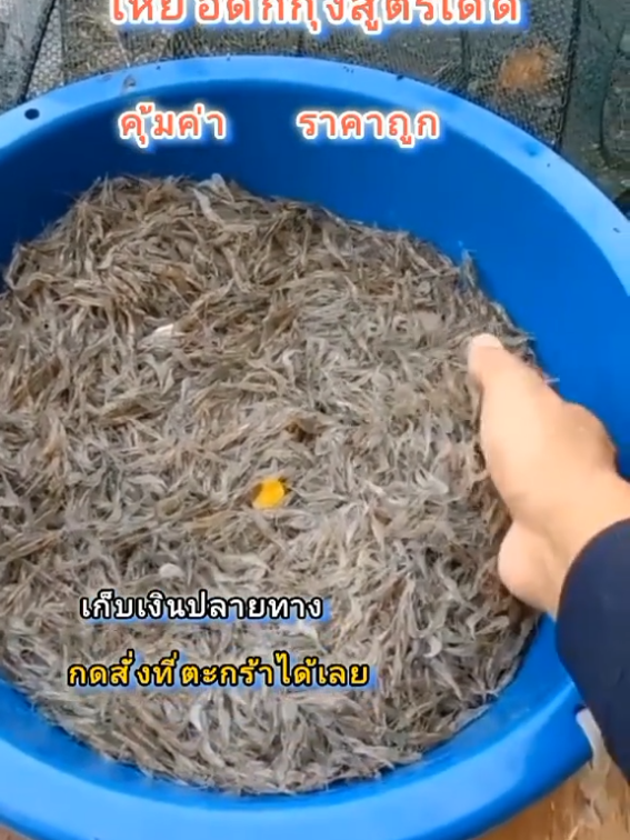 เหยื่อดักกุ้งพร้อมใช้ กดสั่งที่ตะกร้าเลย เก็บปลายทาง