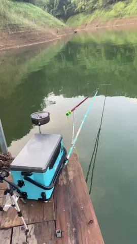 Gác siêu khỏe gác cần 8m1 vô tư ae quan tâm có trong giỏ hàng mik nhé#xuhuongtiktok #fypシ゚ #caucagiaitri #caucatunhien #caudai 