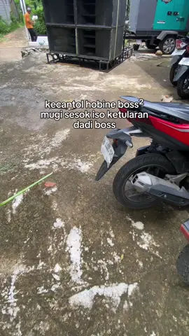 Aminn 🫡#berandatiktok #abimanyusoundsytem #rentalaudio #fyp #soundhajatan 