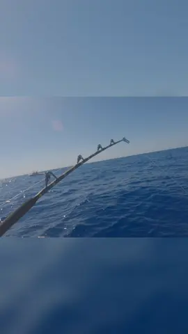 ¿Cómo Sacar Anzuelo de un Pez? Guía Paso a Paso Estamos pescando y necesitamos sacar un anzuelo de un pez. Vemos cómo hacerlo de forma segura y efectiva. ¡No te pierdas nuestros consejos! #pesca #anzuelo #pescado #tutorialpesca #comosacaranzuelo #fishingtips #vidaacuática #deportesacuáticos #aventuradepesca #pescaylibera