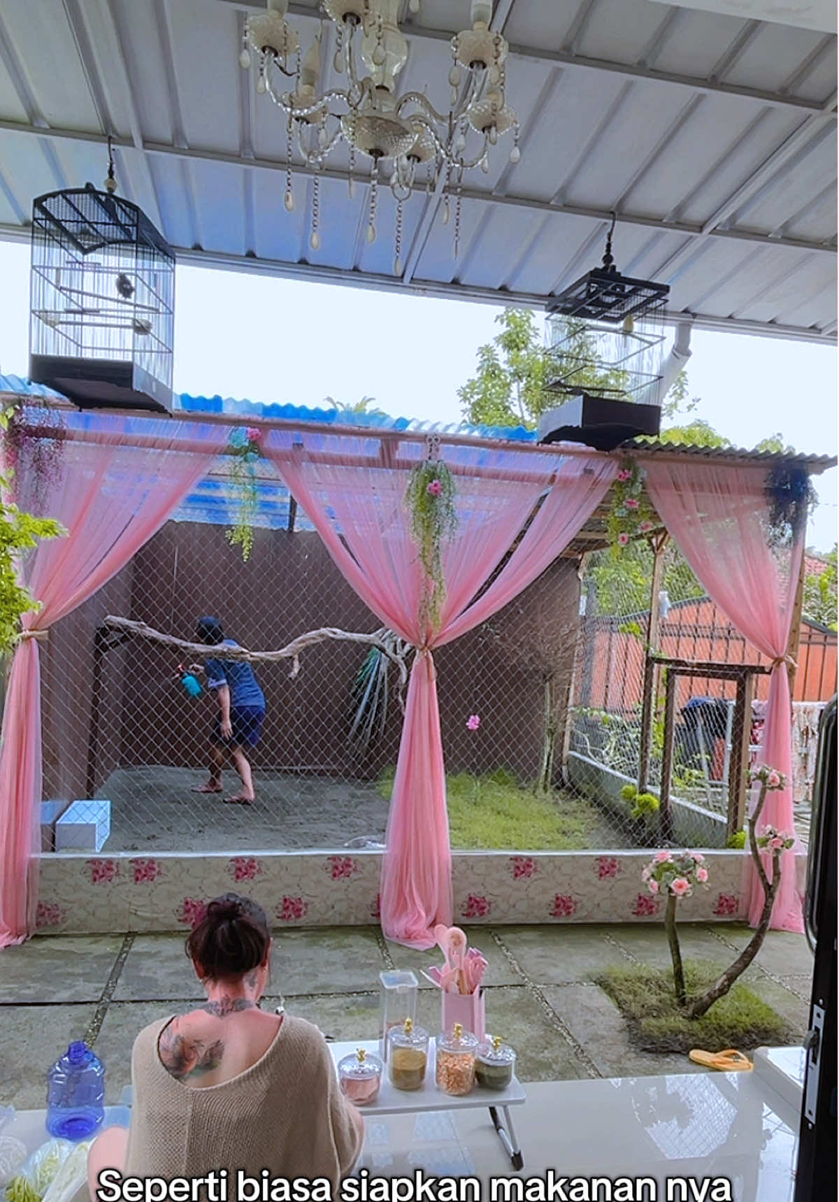 Bangun tidur langsung beresin tempatnya burung merak kesayangan guys 🫣✨💕🦚🦚🤗 #burungmerak #fyp #viral #dailyvlog #dayinmylife 