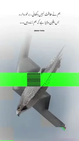 #unpredictable #fixmyproblem #unfrezzmyaccount #fixmyproblem #fyp 