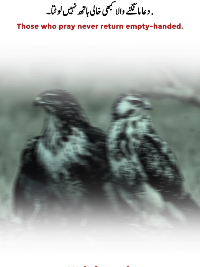 póetry  #creatorsearchinsights #followme #view #Islamic #fotyoupage 