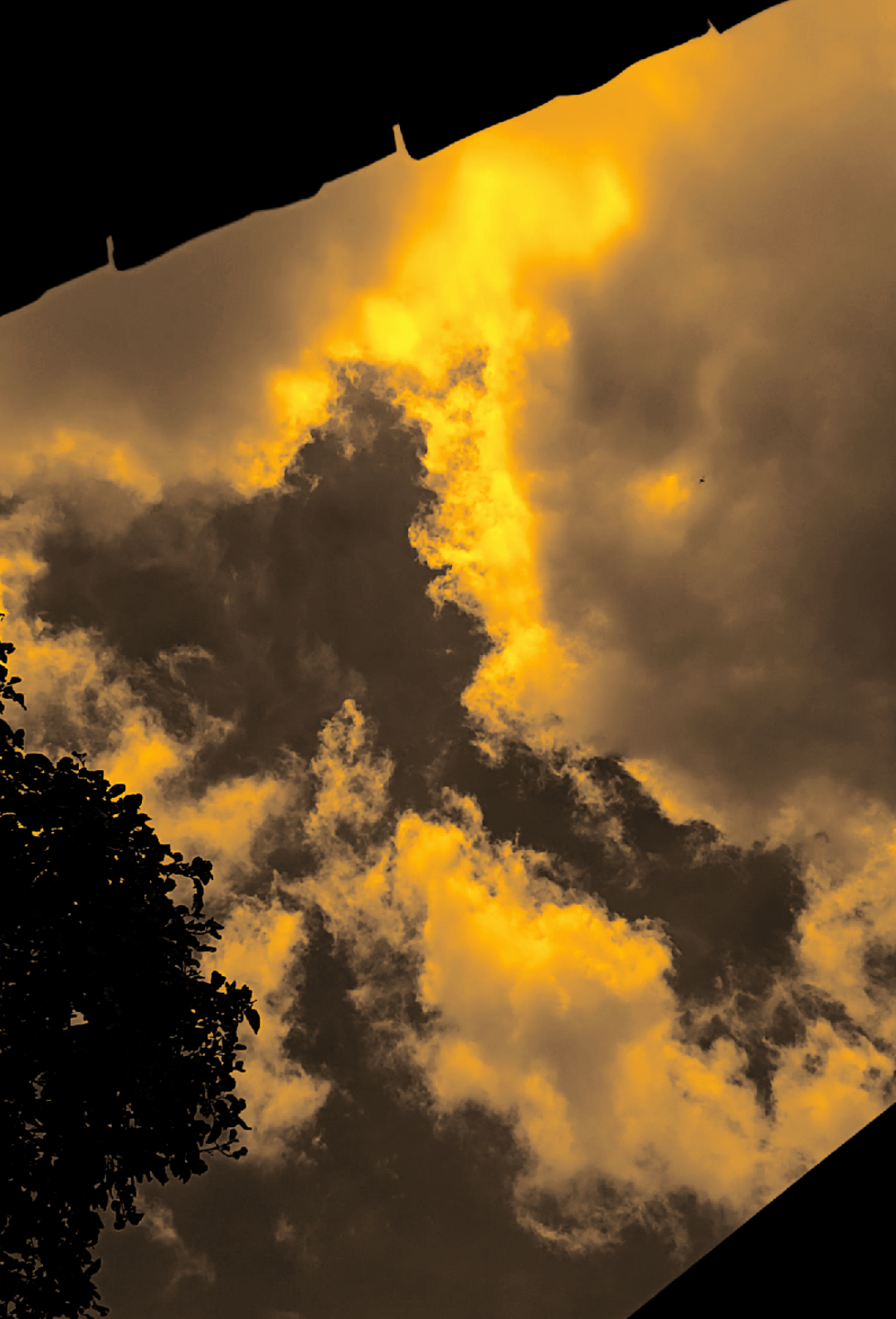 ليس هناك أجمل في هذا العالم من ابتسامة الأم 