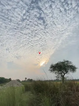 #fyp #foryou #viralvideo #support #naturelover 