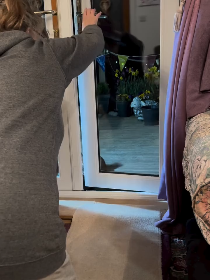 Spotty was so playful last night  hes losing his warm winter coat now pine marten