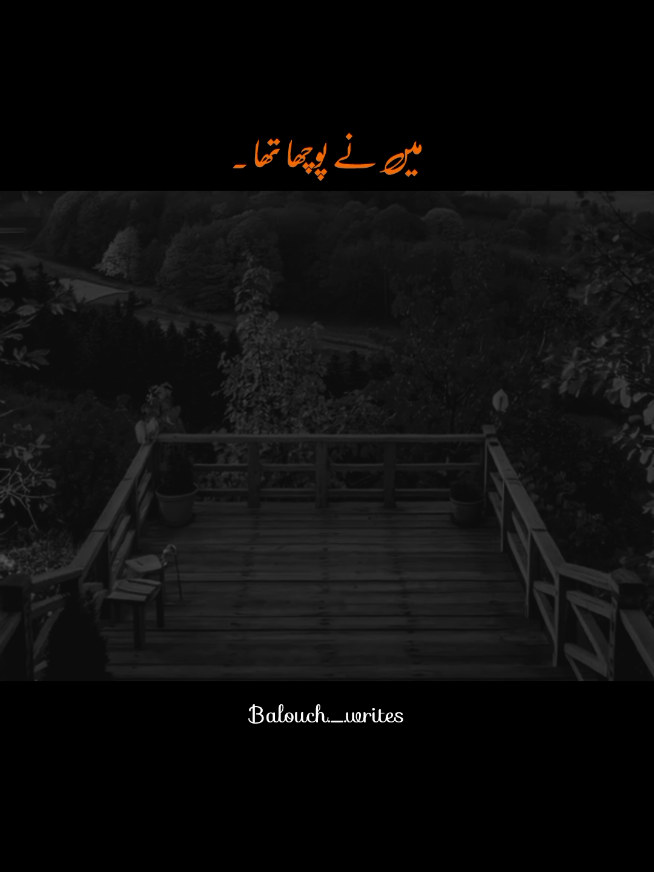 خوبصورت ہے وفادار نہیں ہو سکتا ۔ #1millionaudition#aesthetic#foryoupage#foryou#poetrystatus 