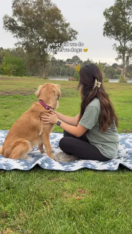 thank you, Sunny, for being my adventure buddy 💛💛💛