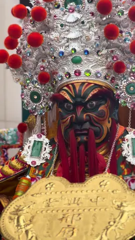 ｜中興 · 邢七｜#高南中興堂 #邢府七千歲 #大書佛 #神像賞析 #神像欣賞 